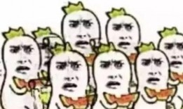 许愿吃瓜后续,揭秘神秘瓜果背后的奇幻之旅