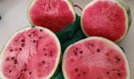 麒麟瓜怎么炒菜吃,家常美味，营养满分