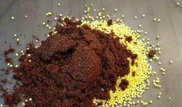 鱼饵软件怎么吃瓜,轻松吃瓜，畅享娱乐新体验