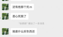 恶心吃瓜聊天记录,一场关于恶心的趣味聊天记录揭秘