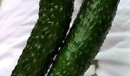 菜园小瓜怎么吃,创意烹饪指南