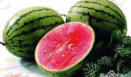 梦见和别人吃白面瓜