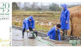 吃瓜种地的方法,轻松收获美味与丰收的秘诀