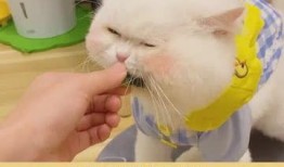 我去吃瓜吃瓜一下,吃瓜群众眼中的明星生活