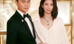 吃瓜小董,揭秘娱乐圈那些不为人知的幕后故事