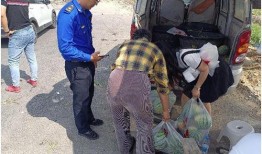 卖瓜大爷给城管吃瓜视频,卖瓜大爷直播互动引发网友热议