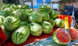 为啥出国吃瓜,揭秘“为啥出国吃瓜”背后的文化现象