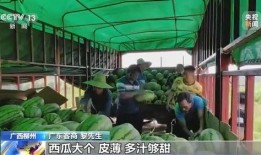 柳州市吃瓜,吃瓜群众的味蕾盛宴