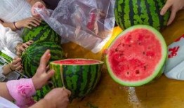 中午吃瓜视频,揭秘娱乐圈新鲜事