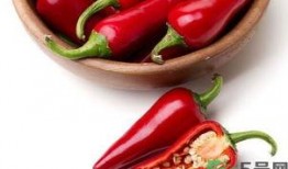 吃瓜和辣椒,探寻辣椒与美食的激情碰撞