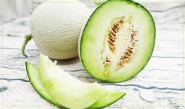 不能在家吃瓜,拒绝在家吃瓜的自律之道