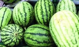 快抖吃瓜,揭秘网络热点背后的真相与笑料