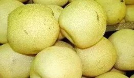 甜梨吃瓜短剧,短剧里的欢乐时光