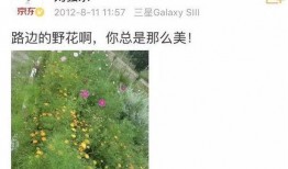 吃瓜群众正在吃瓜的句子,吃瓜群众热捧瓜界盛事