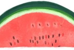 吃瓜总群,揭秘网络社交圈的趣味与争议