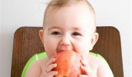 吃贝贝瓜胃难受,贝贝瓜美味诱惑背后的胃部不适之谜