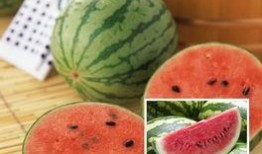 喜欢怎么吃瓜,揭秘“喜欢怎么吃瓜”的独特风味