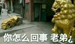 带你吃瓜石狮子,带你探秘“带你吃瓜”石狮子背后的故事