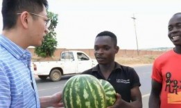 为啥出国吃瓜,揭秘“为啥出国吃瓜”背后的文化现象