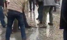 女民警吃瓜视频,揭秘警界生活趣味瞬间