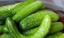 吃瓜群众黄瓜评论区,黄瓜评论区众生相