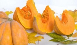 吃树瓜有哪些好处,揭秘吃树瓜的五大益处