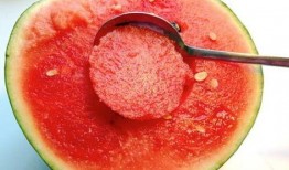 没有刀勺怎么吃瓜,无刀勺巧食瓜果的创意攻略