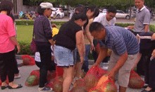 滑县吃瓜事件,一场引发社会关注的网络风波