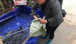 吃瓜群众回家睡觉,静享宁静时光