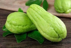 公众号熙熙吃瓜,揭秘娱乐圈那些不为人知的幕后故事