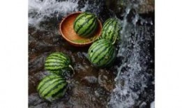 最新吃瓜密码,揭秘明星幕后真相