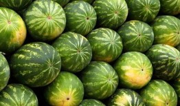 夏天吃瓜照片人,一张照片里的清凉时光