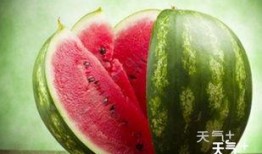 山东吃高瓜吗,探寻高瓜的独特风味