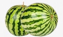 吃瓜网红照片下载,揭秘幕后花絮，带你领略明星日常