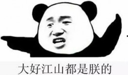 吃瓜总群,揭秘网络社交圈的趣味与争议