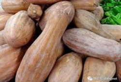 家里的方瓜怎么吃,解锁家常方瓜的多重美味