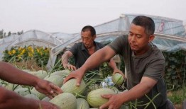 吃瓜宜兴徐某,宜兴徐某事件始末