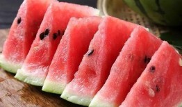 模界吃瓜群众,吃瓜群众揭秘幕后真相