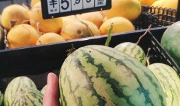 河北铺吃瓜么,揭秘吃瓜群众的欢乐盛宴