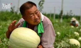 怎么拍吃瓜,揭秘吃瓜拍照技巧