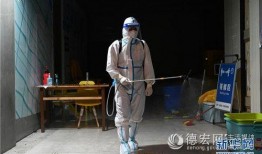 瑞丽边境吃瓜事件,一场引发热议的边境美食风波