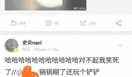 电脑博主吃瓜,揭秘电脑博主吃瓜背后的真相与笑料