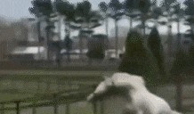 吃瓜情侣动态头像,甜蜜吃瓜，甜蜜秀恩爱