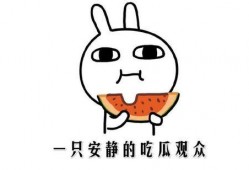 吃瓜种地的方法,轻松收获美味与丰收的秘诀