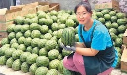 吃瓜的专业,吃瓜群众深度解析幕后真相