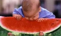 西瓜吃瓜视频大赛,西瓜吃瓜视频大赛精彩瞬间大盘点