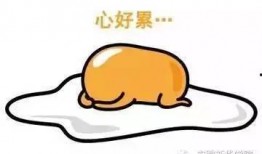 中枪的吃瓜群众,意外见证的惊险瞬间