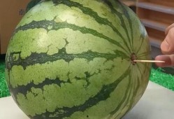 山东吃高瓜吗,探寻高瓜的独特风味