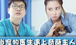 吃瓜群众 无良专家,揭秘“吃瓜群众”与“无良专家”背后的真相